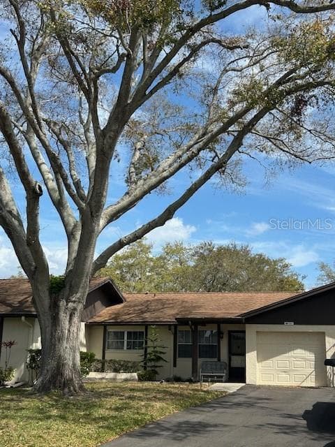 1567 PATTON DRIVE DUNEDIN, FL 34698