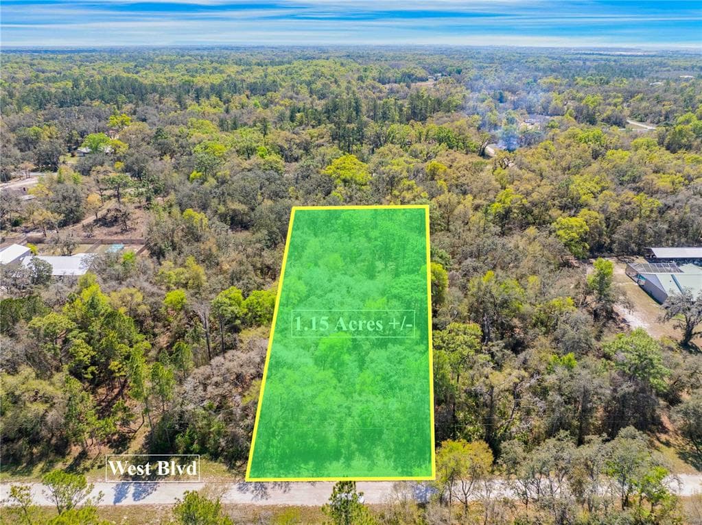 33468 WEST BOULEVARD WEBSTER, FL 33597
