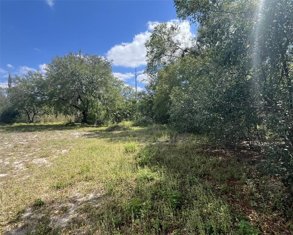 107 PINE STREET DUNDEE, FL 33838