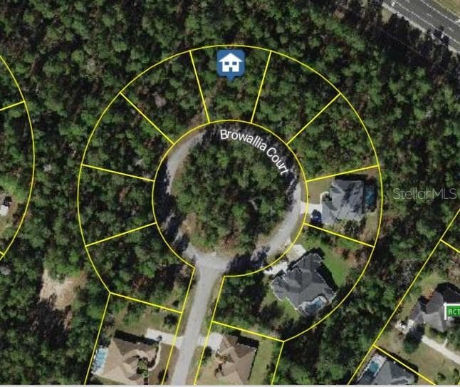 25 BROWALLIA COURT HOMOSASSA, FL 34446