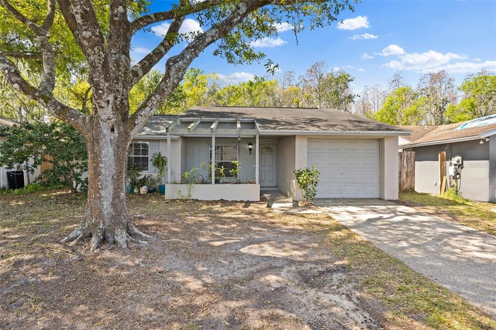 2906 CEDARIDGE DRIVE TAMPA, FL 33618