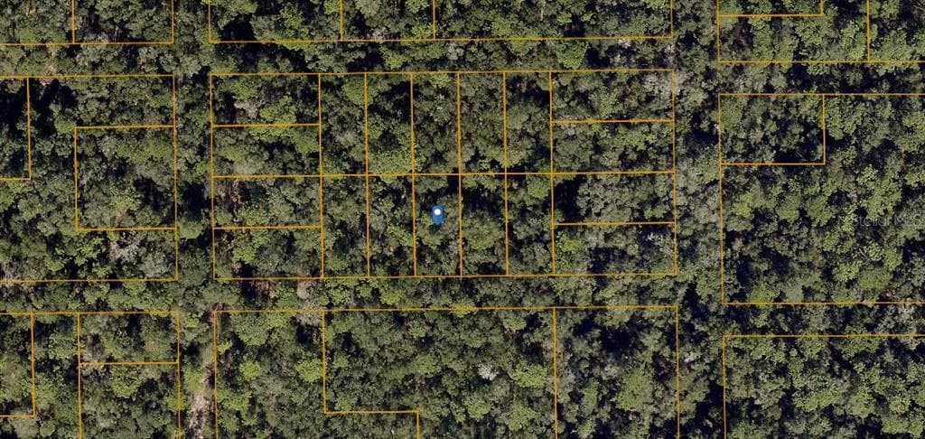HAMILTON AVE ORANGE CITY, FL 32763