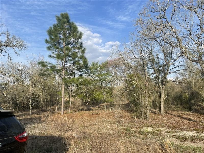 Lot 33 SW PORTULACA COURT DUNNELLON, FL 34431