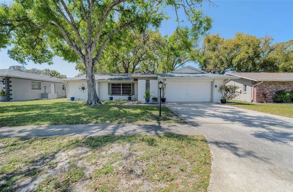3219 SPANISH MOSS LANE PALM HARBOR, FL 34684