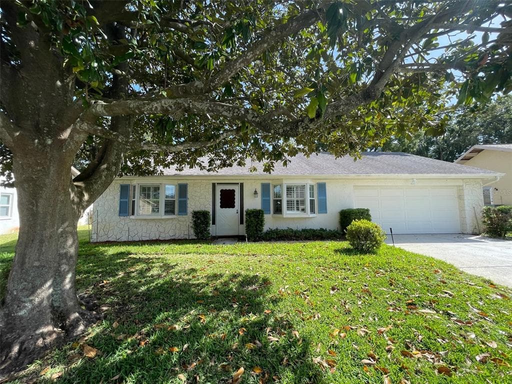 1659 E DORCHESTER COURT PALM HARBOR, FL 34684