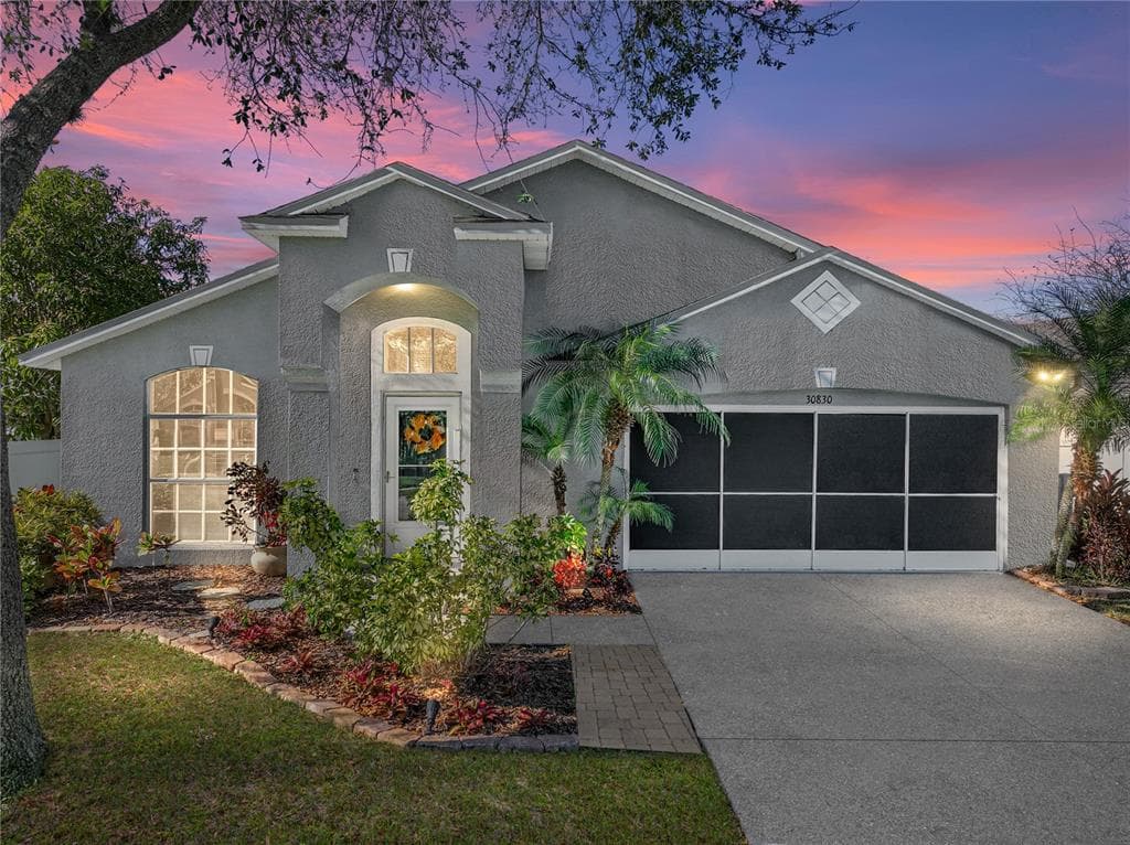 30830 BIRDHOUSE DRIVE WESLEY CHAPEL, FL 33545