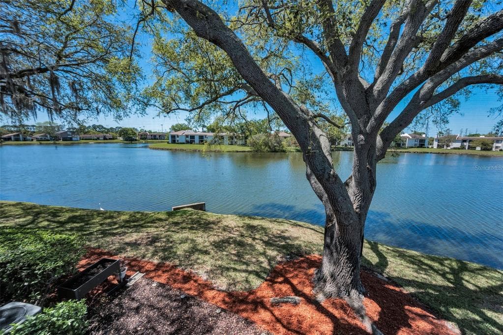 232 NINA WAY UNIT 232 OLDSMAR, FL 34677