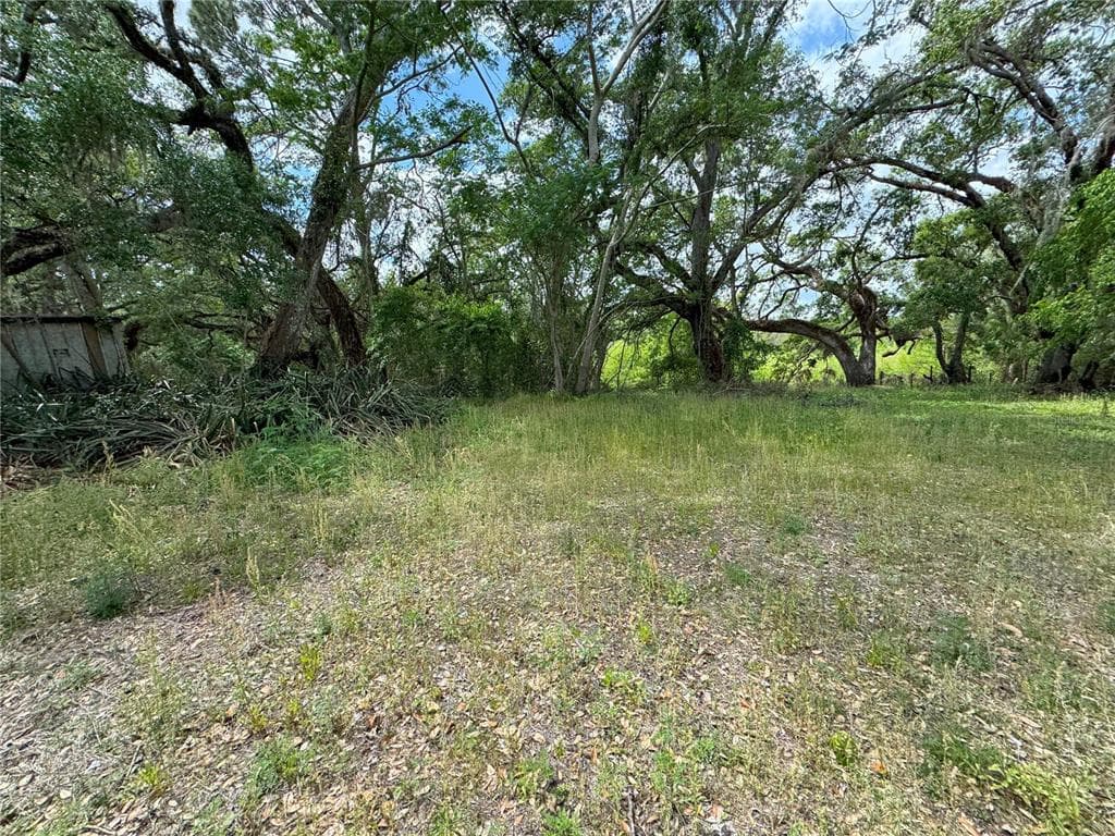 3221 DUBLIN ROAD DADE CITY, FL 33523