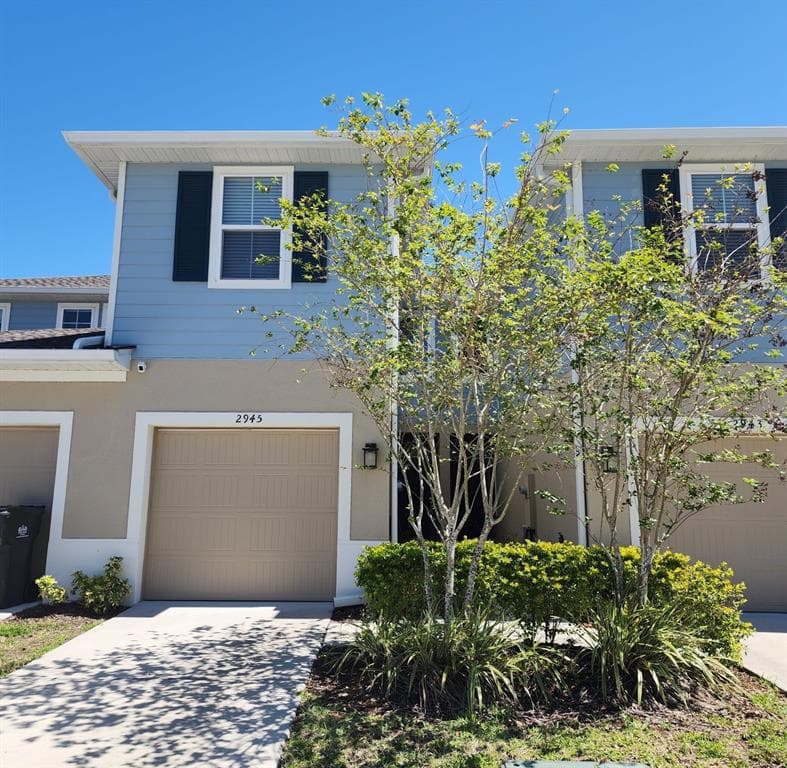 2945 RAMBLER IVY LOOP BRANDON, FL 33510