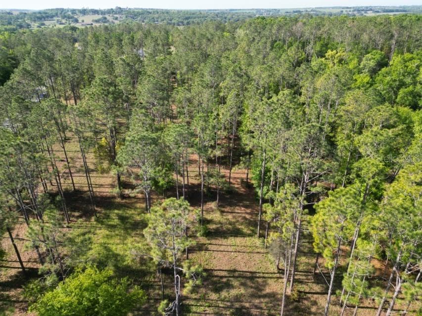17321 COUNTRY SQUIRE LANE DADE CITY, FL 33523