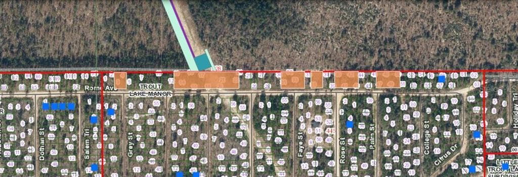 228 ROME AVE INTERLACHEN, FL 32148