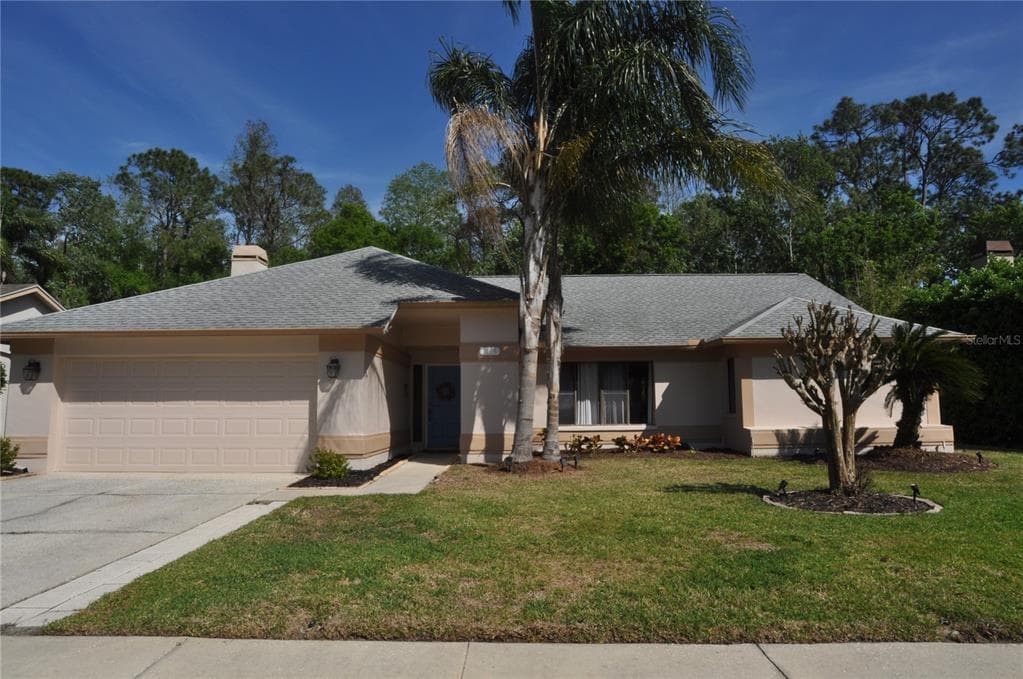 3189 ROXMERE DRIVE PALM HARBOR, FL 34685