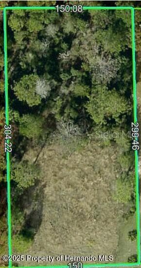 11039 FULTON AVENUE WEEKI WACHEE, FL 34613
