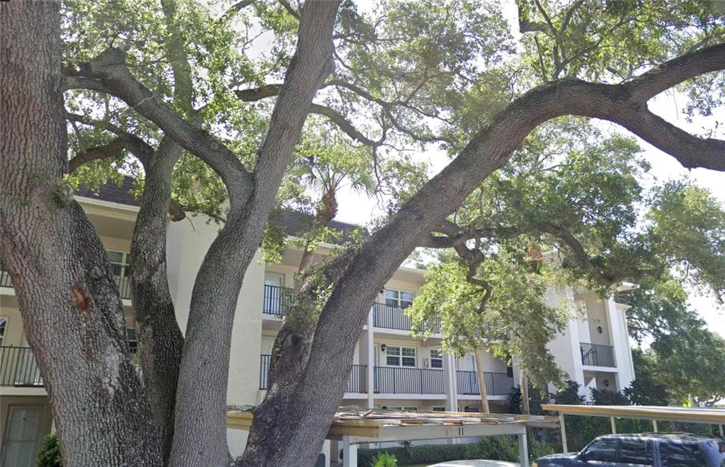 870 VIRGINIA STREET UNIT 315 DUNEDIN, FL 34698