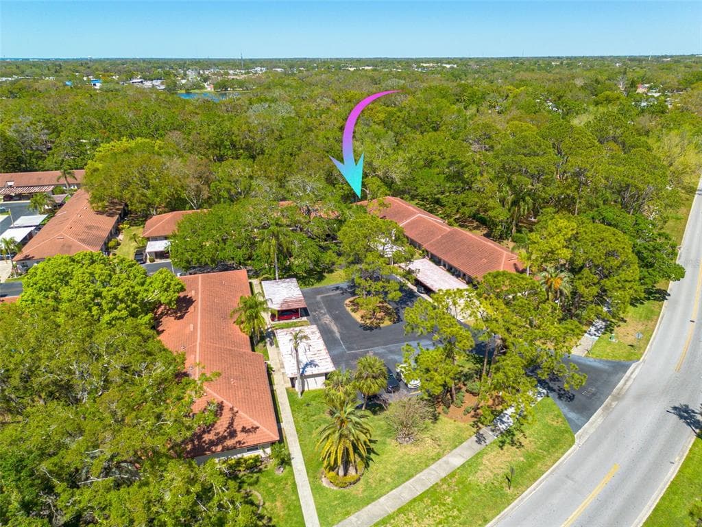 1201 MONTROSE PLACE DUNEDIN, FL 34698