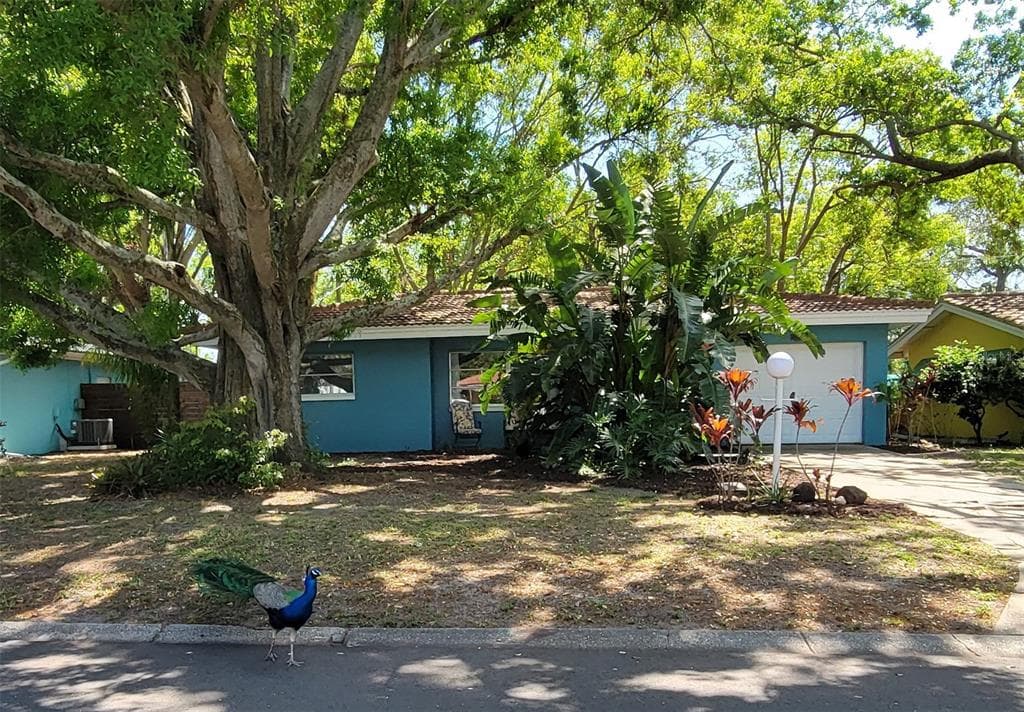 2047 INDIGO DRIVE