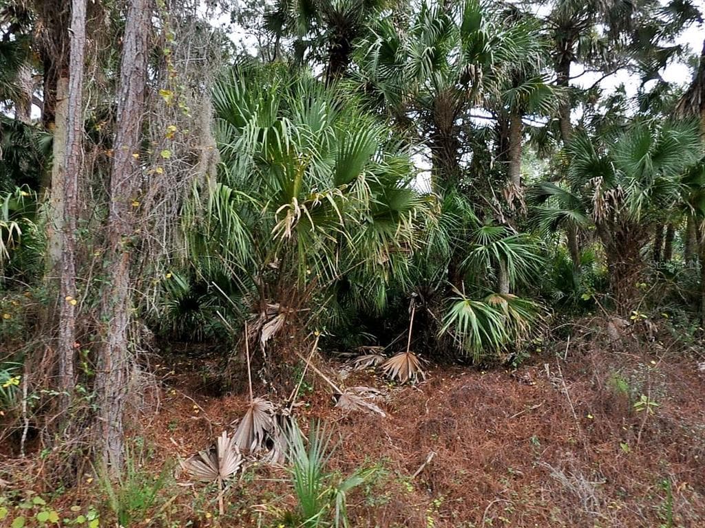 DAPHNE ROAD NORTH PORT, FL 34288