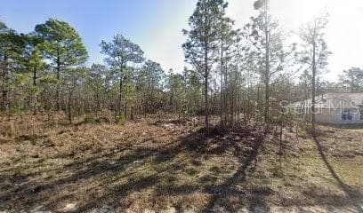 16106 MEDRICK ROAD BROOKSVILLE, FL 34614