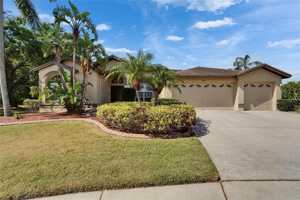 10110 VISTA POINTE DRIVE TAMPA, FL 33635