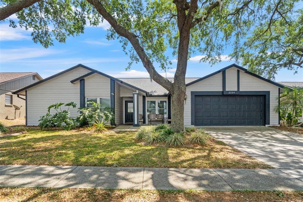 2554 BRIMHOLLOW DRIVE VALRICO, FL 33596