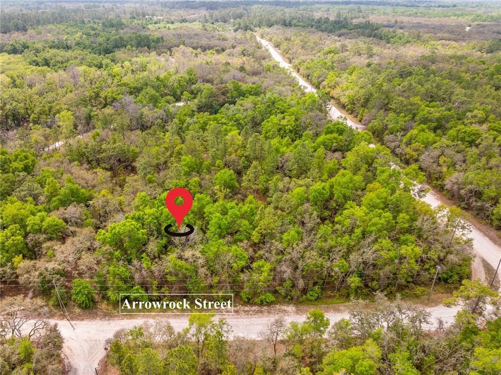34016 ARROWROCK STREET WEBSTER, FL 33597