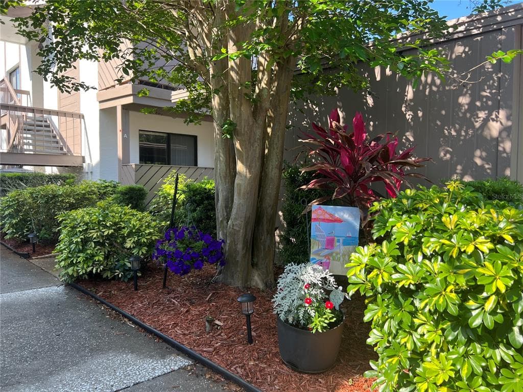 644 FAIRMONT AVENUE UNIT A SAFETY HARBOR, FL 34695