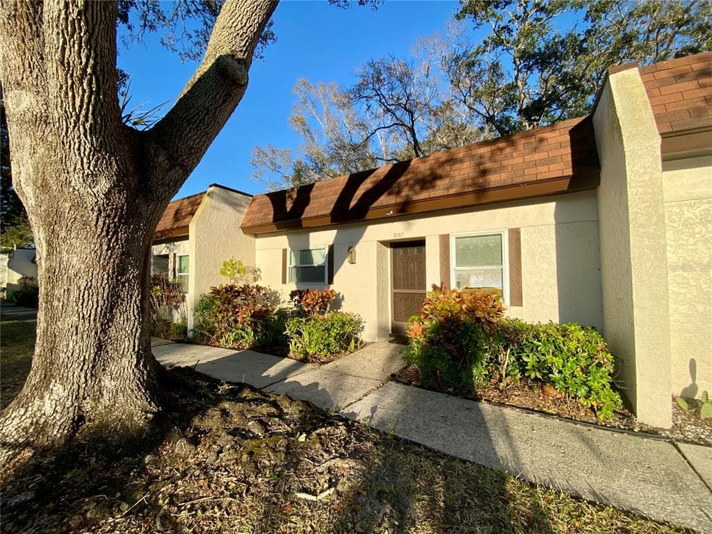 3157 MISSION GROVE DRIVE PALM HARBOR, FL 34684