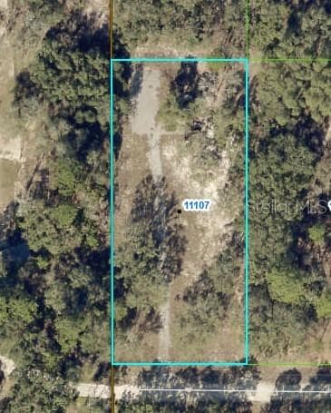 11103 SNOW LARK AVENUE WEEKI WACHEE, FL 34614