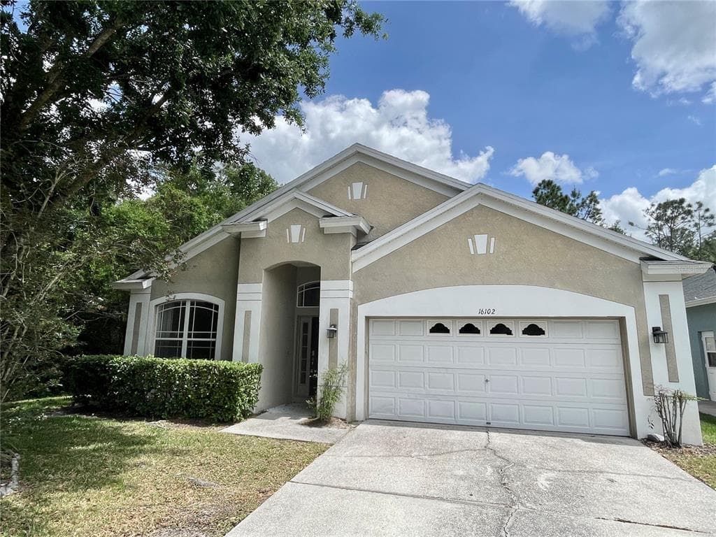 16102 STAGS LEAP DRIVE LUTZ, FL 33559