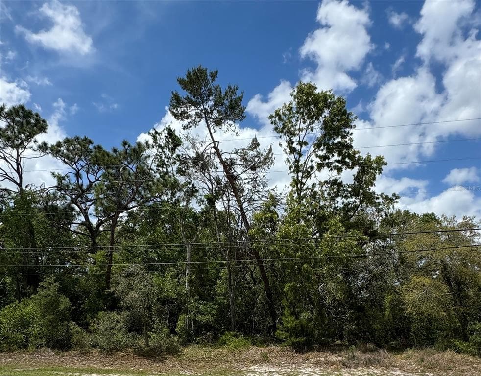 2185 WATERFALL DRIVE SPRING HILL, FL 34608