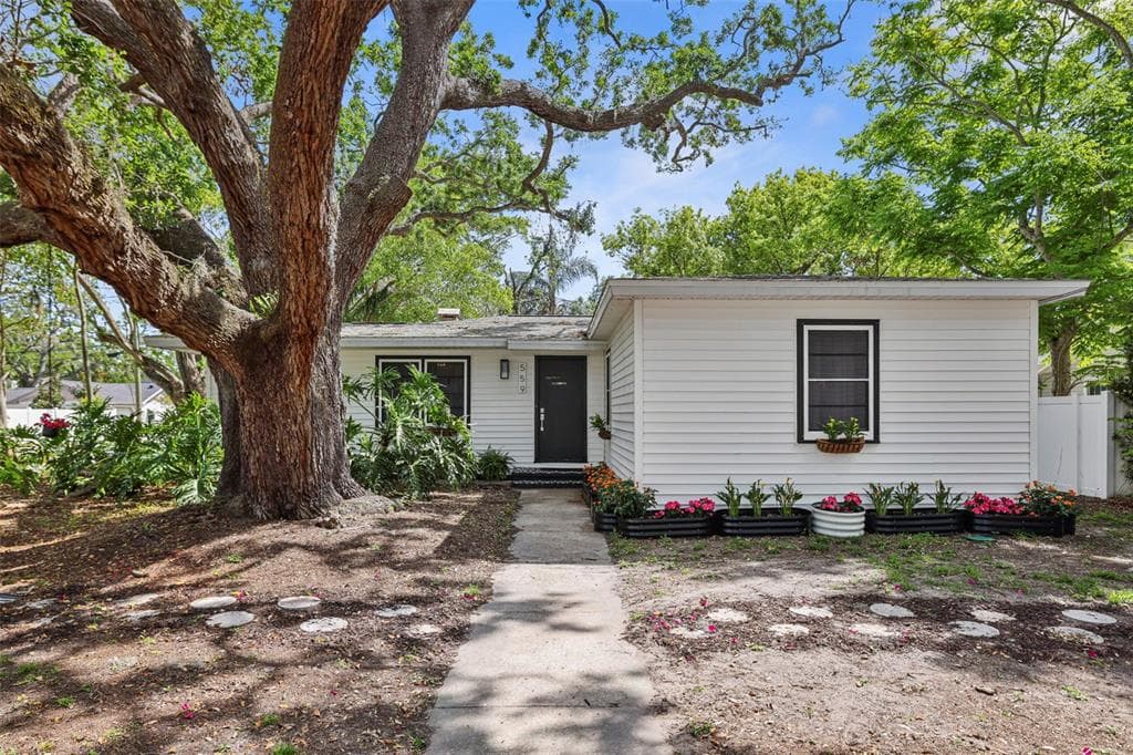 559 SCOTLAND STREET DUNEDIN, FL 34698