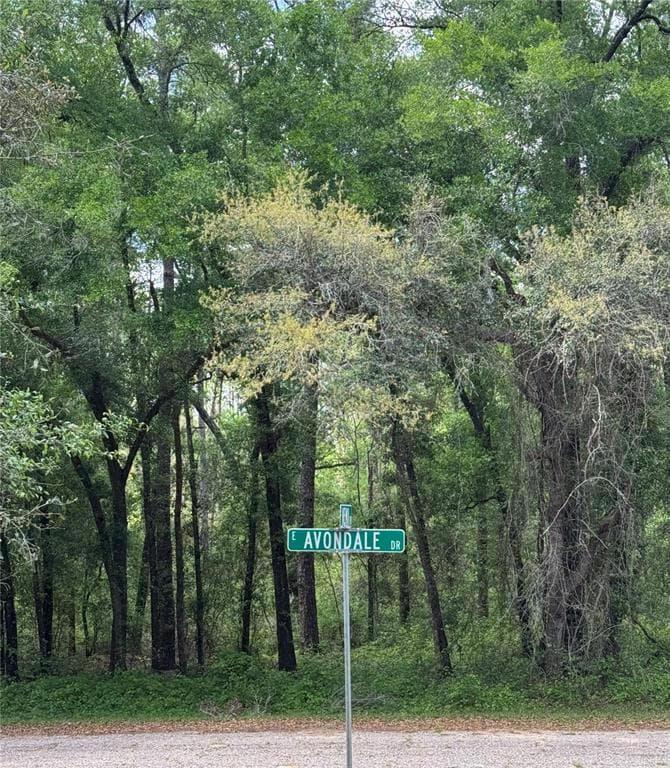 455 E AVONDALE DRIVE DUNNELLON, FL 34434