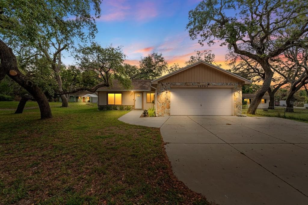 10903 N BOULEVARD TAMPA, FL 33612