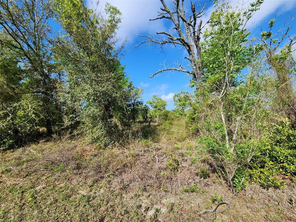 OXALIS CT. DUNNELLON, FL 34431