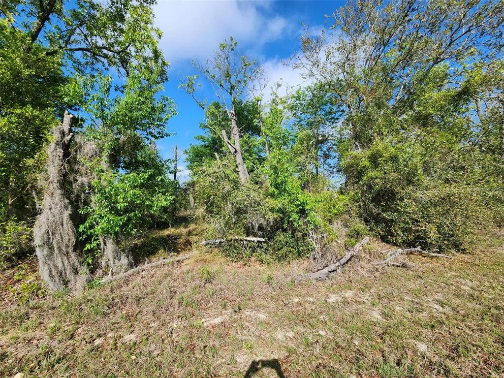 TBD SW OXALIS COURT UNIT 015 DUNNELLON, FL 34431