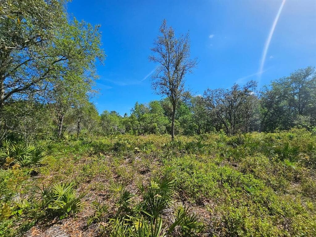 8130 SHELLSTREAM DRIVE WEBSTER, FL 33597