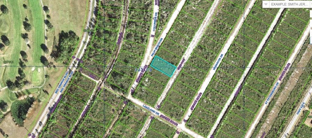 PALM BEACH DRIVE INDIAN LAKE ESTATES, FL 33855