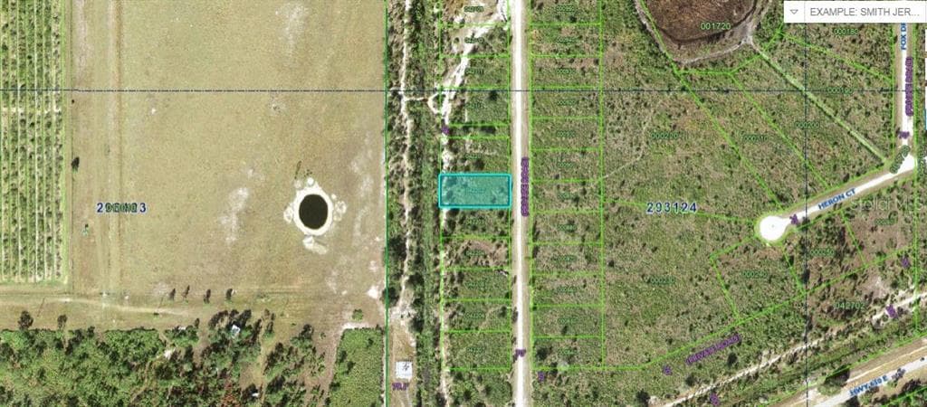 1251 PINNATA DRIVE INDIAN LAKE ESTATES, FL 33855