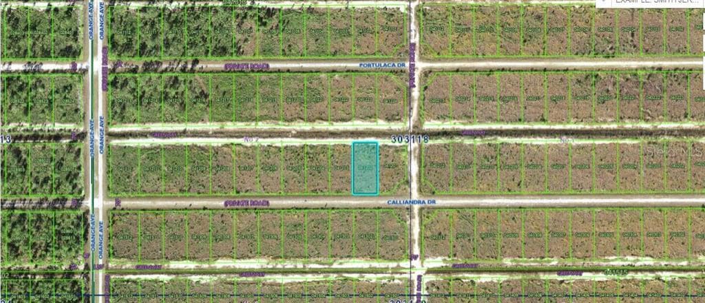 704 CALLIANDRA DRIVE INDIAN LAKE ESTATES, FL 33855
