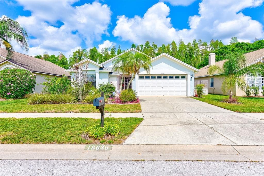 18035 PALM BREEZE DRIVE TAMPA, FL 33647