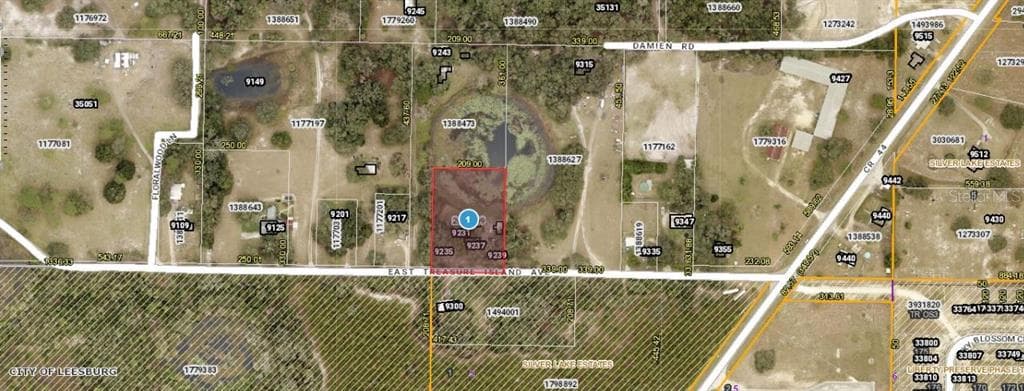 9239 E TREASURE ISLAND AVENUE LEESBURG, FL 34788