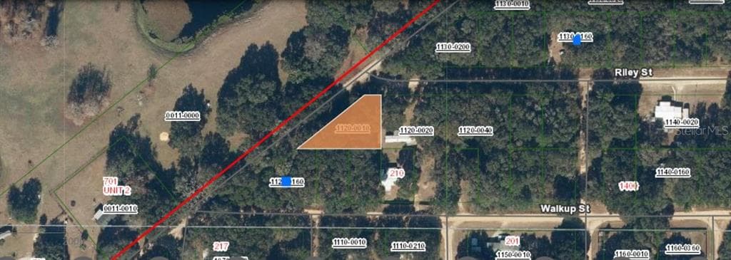 RILEY STREET INTERLACHEN, FL 32148