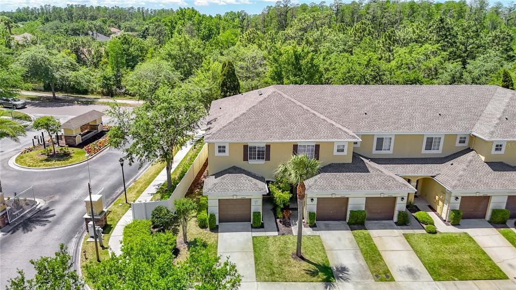 20402 NEEDLETREE DRIVE TAMPA, FL 33647