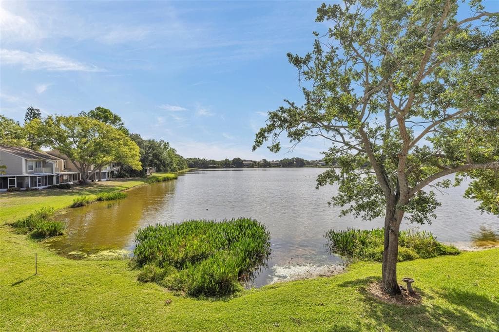 8719 LAKE PLACE LANE TAMPA, FL 33634