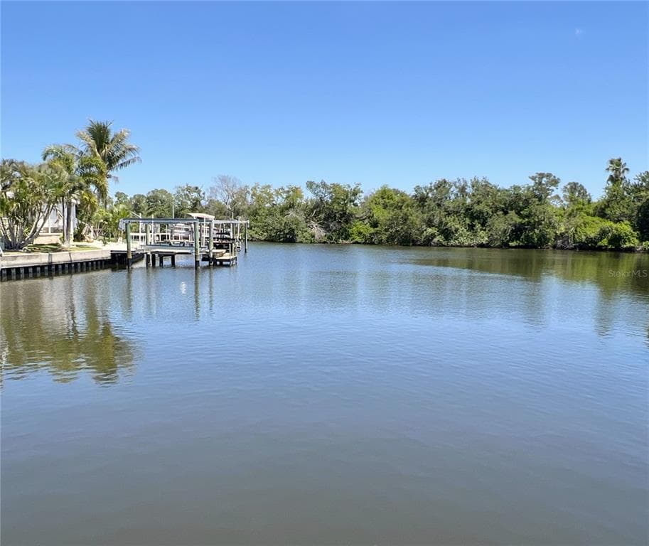 333 MOUNT RICHMOND AVENUE NE UNIT 344 ST PETERSBURG, FL 33702