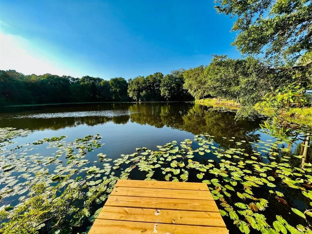 1610 PALM LEAF DRIVE BRANDON, FL 33510