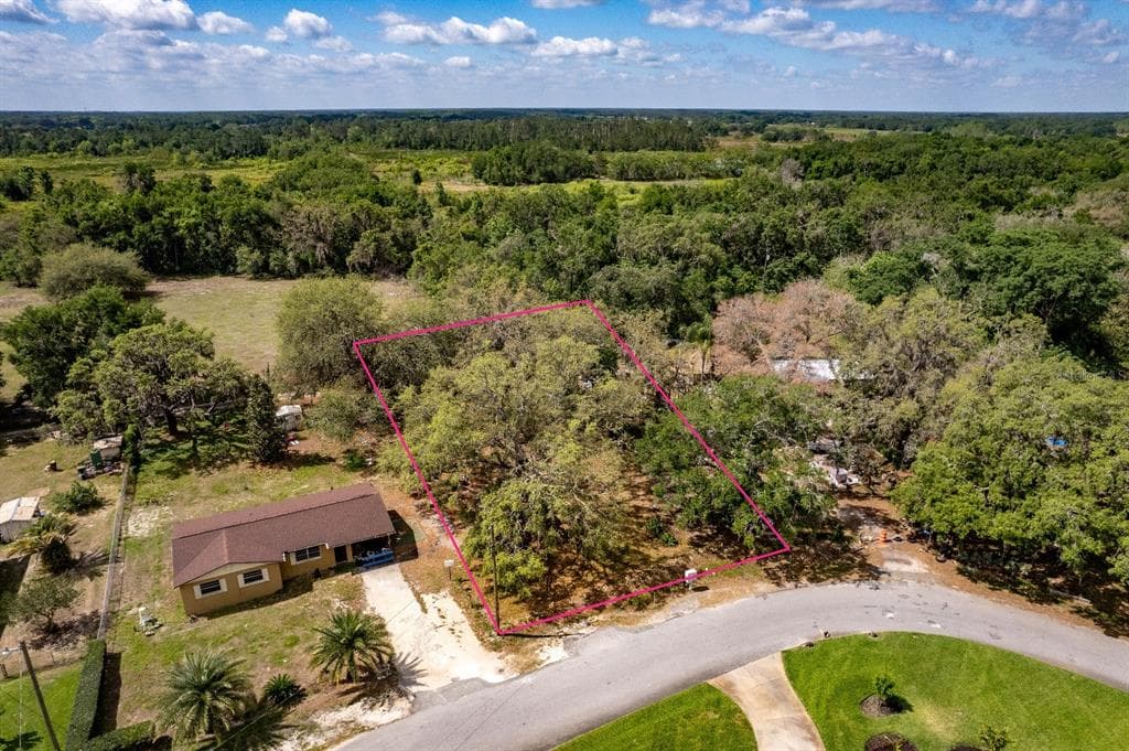 2230 MAXWELL AVENUE GROVELAND, FL 34736