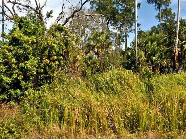 FIREBIRD ROAD NORTH PORT, FL 34288