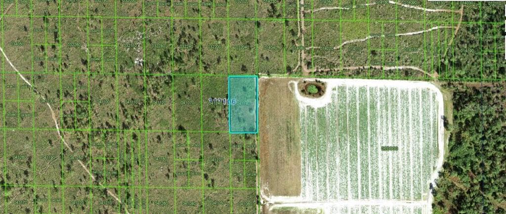 GRAPE HAMMOCK RD LAKE WALES, FL 33898