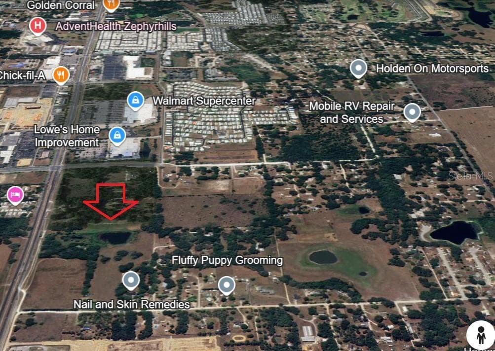 8133 GALL BOULEVARD ZEPHYRHILLS, FL 33541